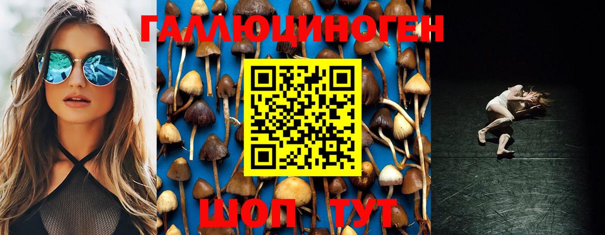 Псилоцибиновые грибы Magic Shrooms Кингисепп